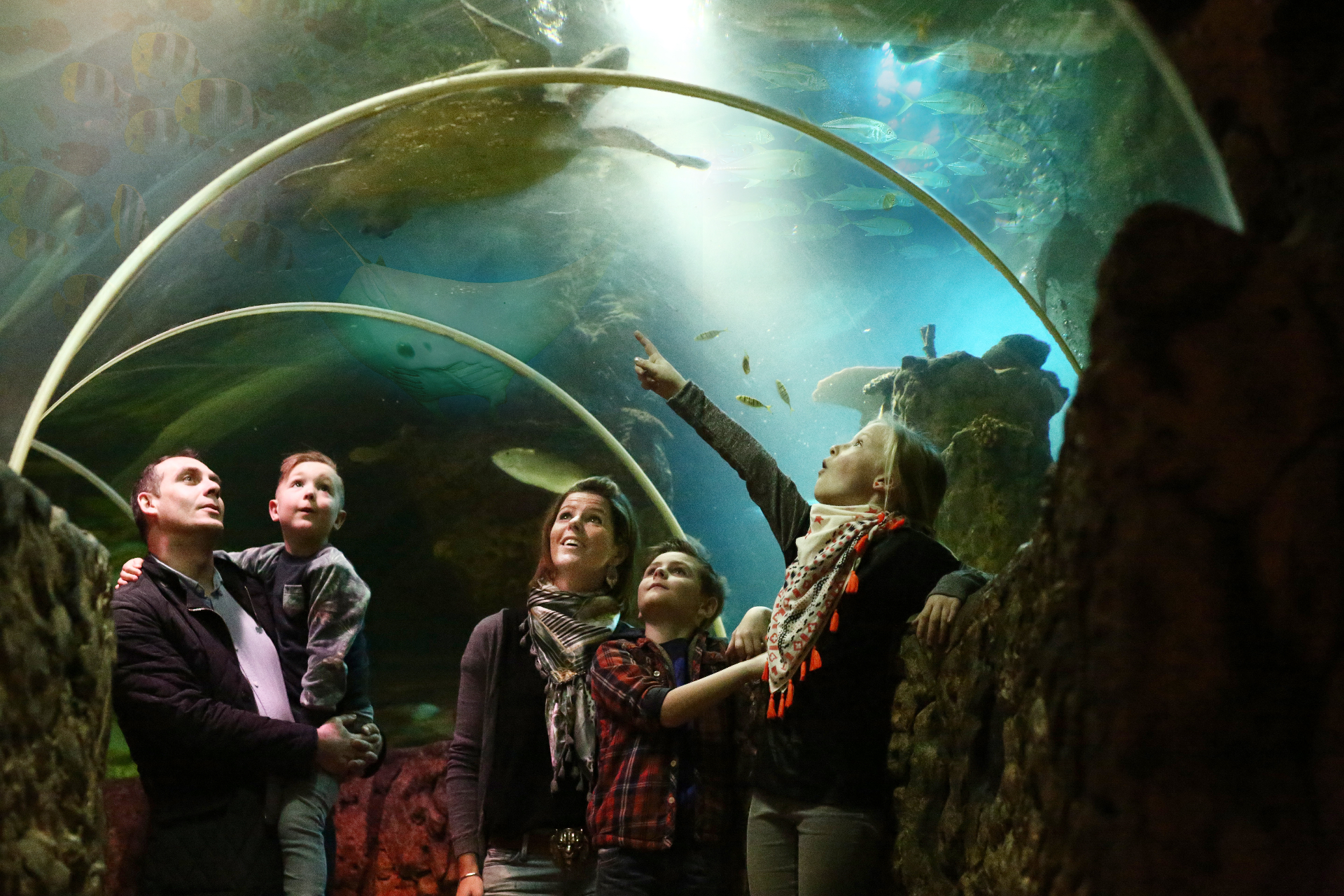 Sealife — recreatie bij Camping Kerlinga